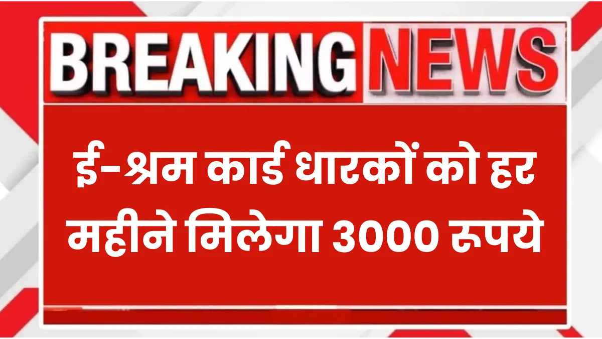 E- Shram Card Rs3000 Pension